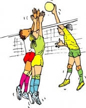 Volleybaltoernooi