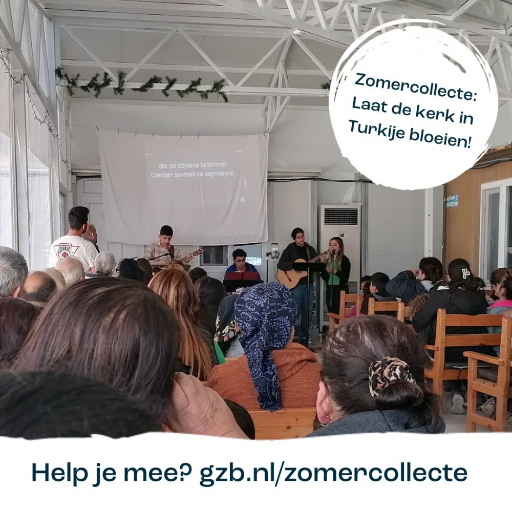 ZOMERCOLLECTE